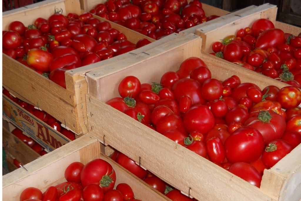 Tomates_1