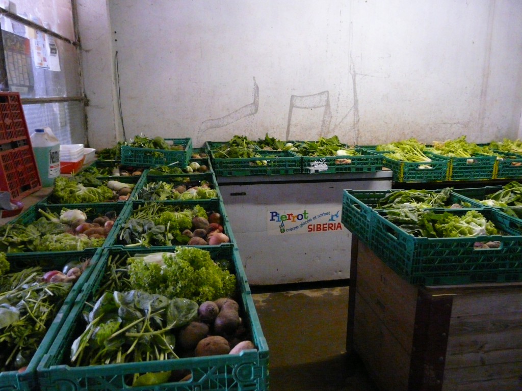 preparation paniers