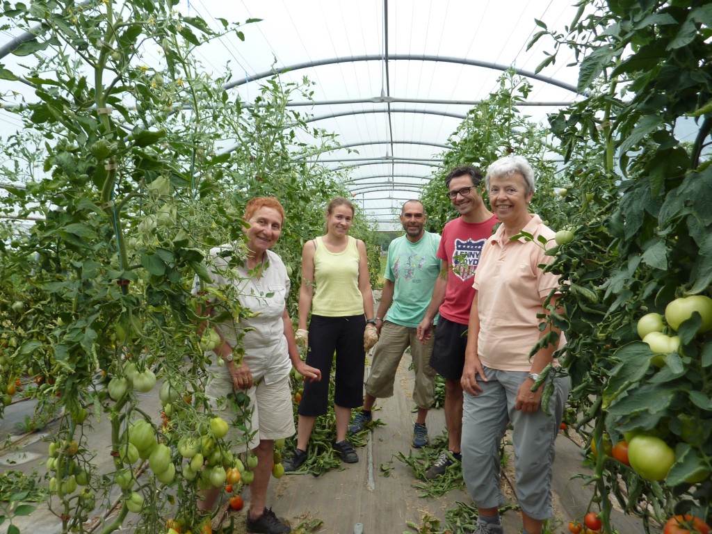 Une partie des participants à l'aide au jardin, dont Reine (à gauche sur la photo), Présidente des Paniers du Crozet.