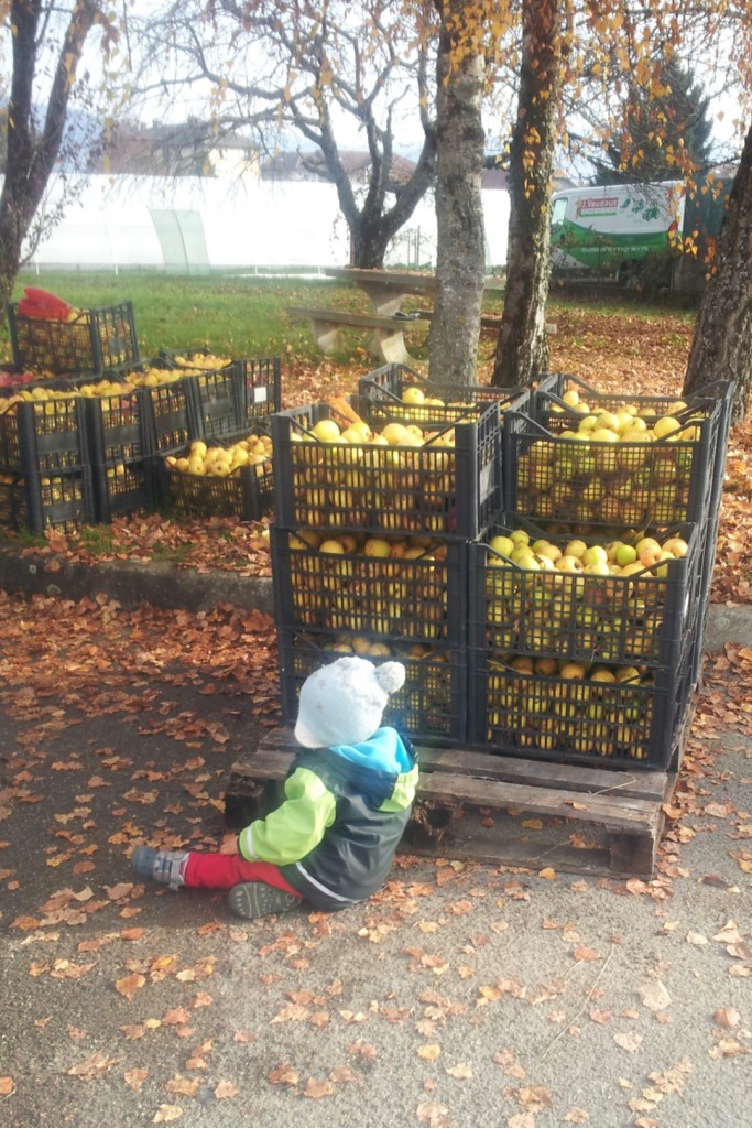 Le gardien des pommes