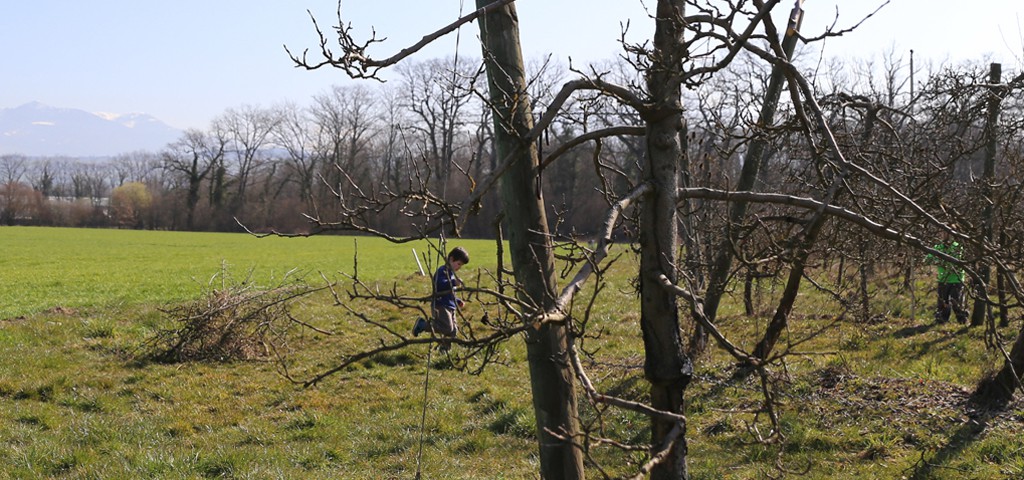 Les enfants ramassent les branches