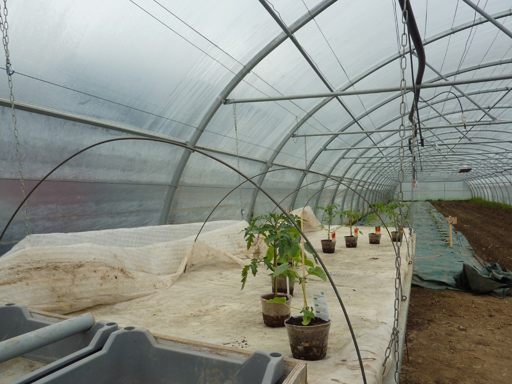 La nursery venait juste d'être installée le 17 avril 2016, jour de Saveurs & Paysages