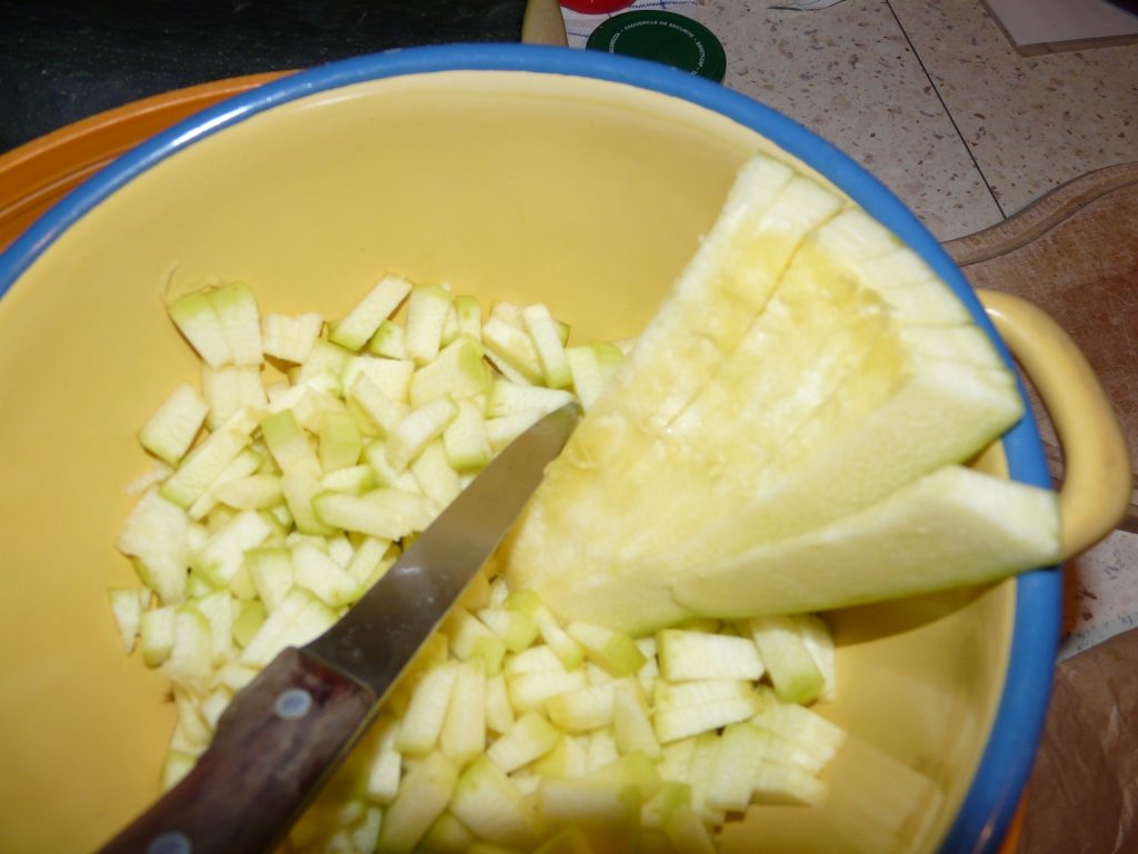 Pogne de courge_0_site