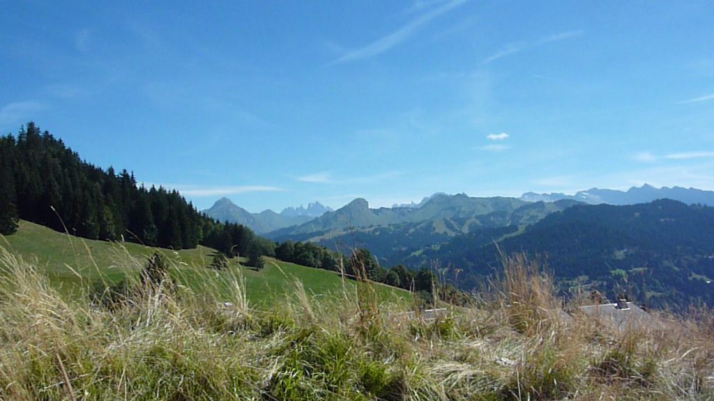 p1090599_panorama-1