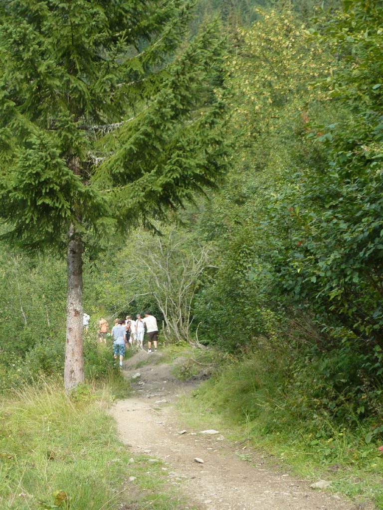 p1090621_vers-lalpage