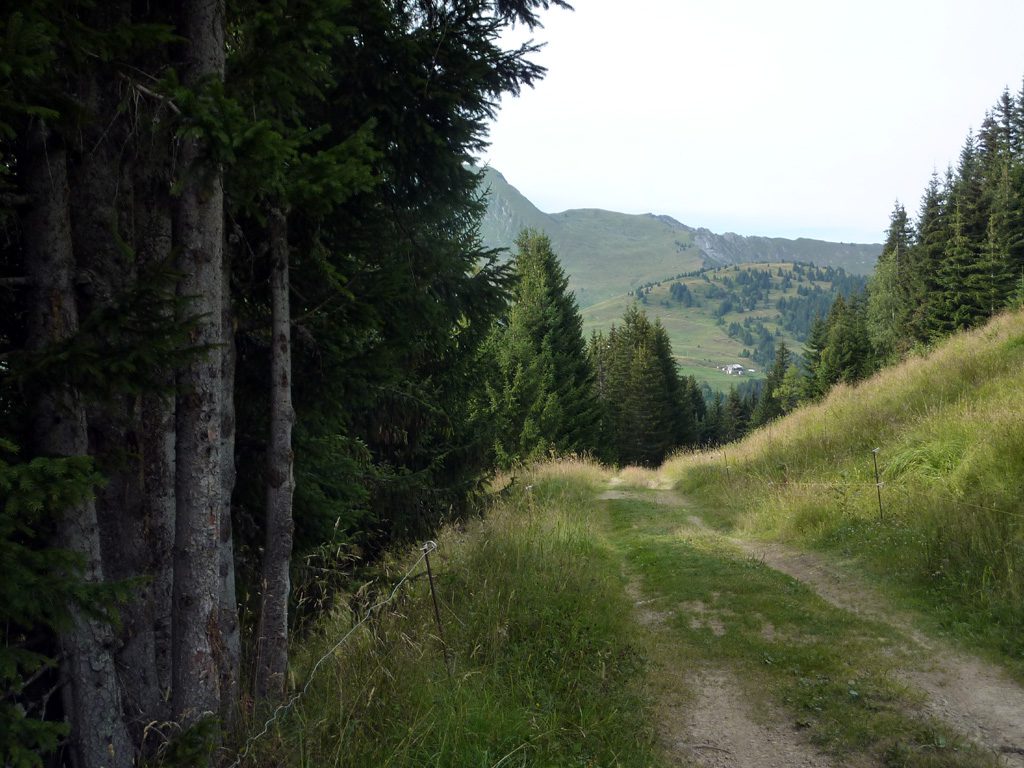 Vers l'alpage
