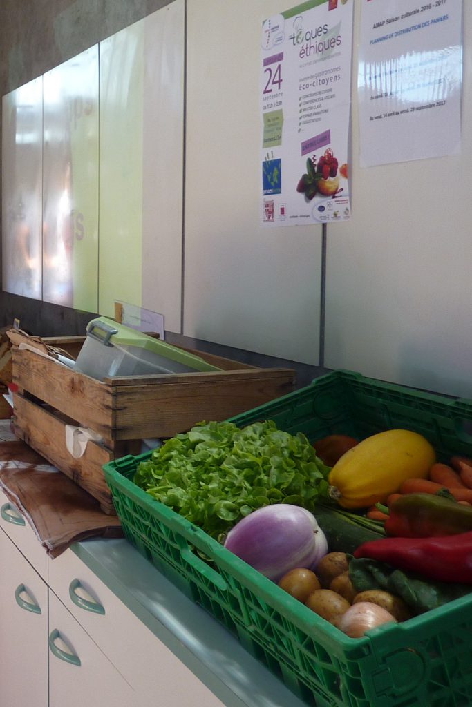 Un panier-témoin de légumes de l'AMAP