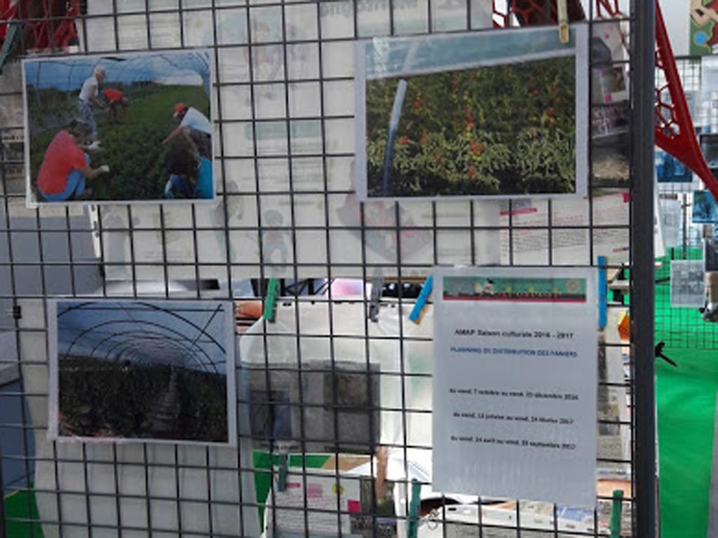 Quelques photos prises sur l'exploitation